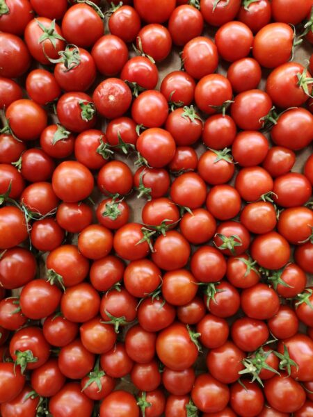 red tomatoes on board