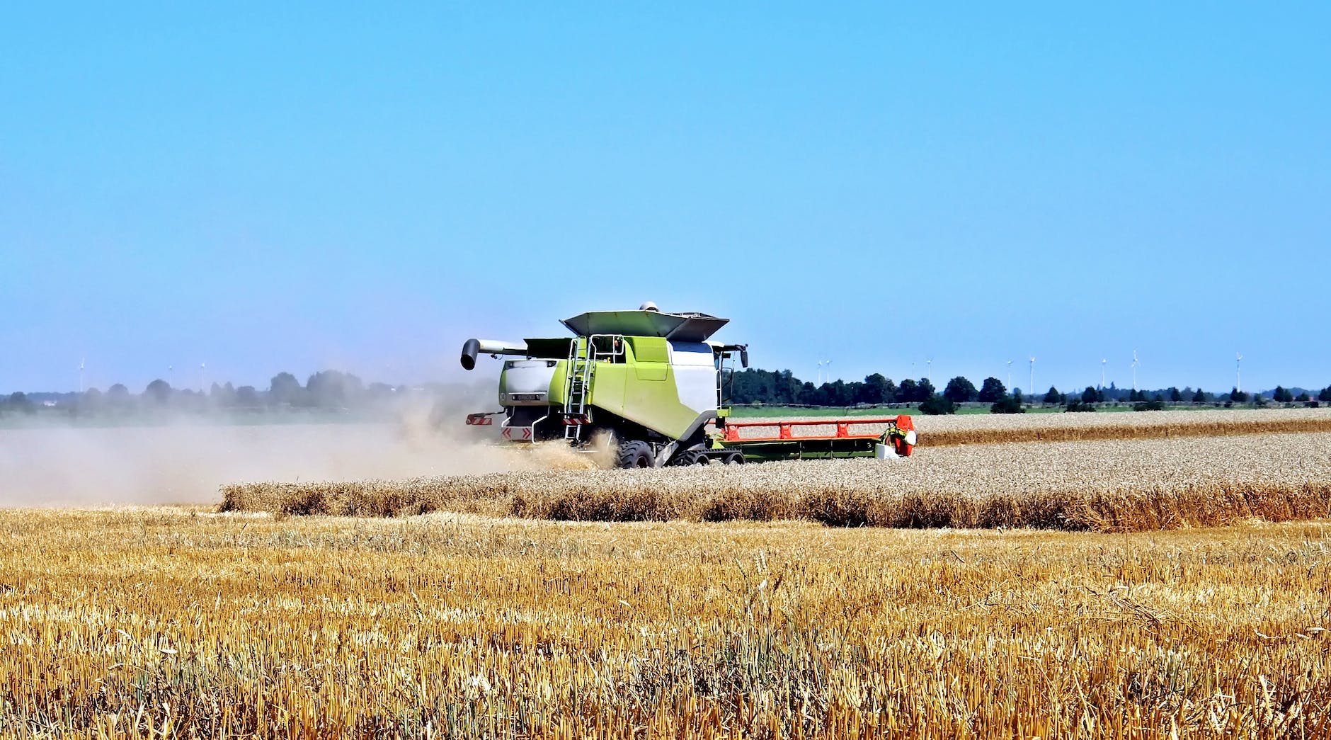 Suddenly the government couldn't inspect anything about grain