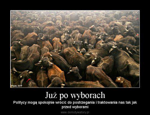 Potrzeba „antypolityki” ruchów społecznych