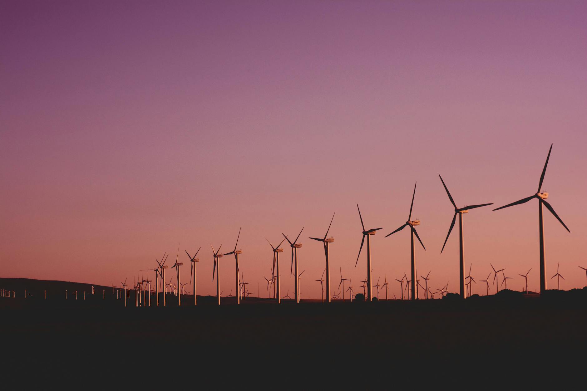 Transformacja klimatyczna a koszt społeczny