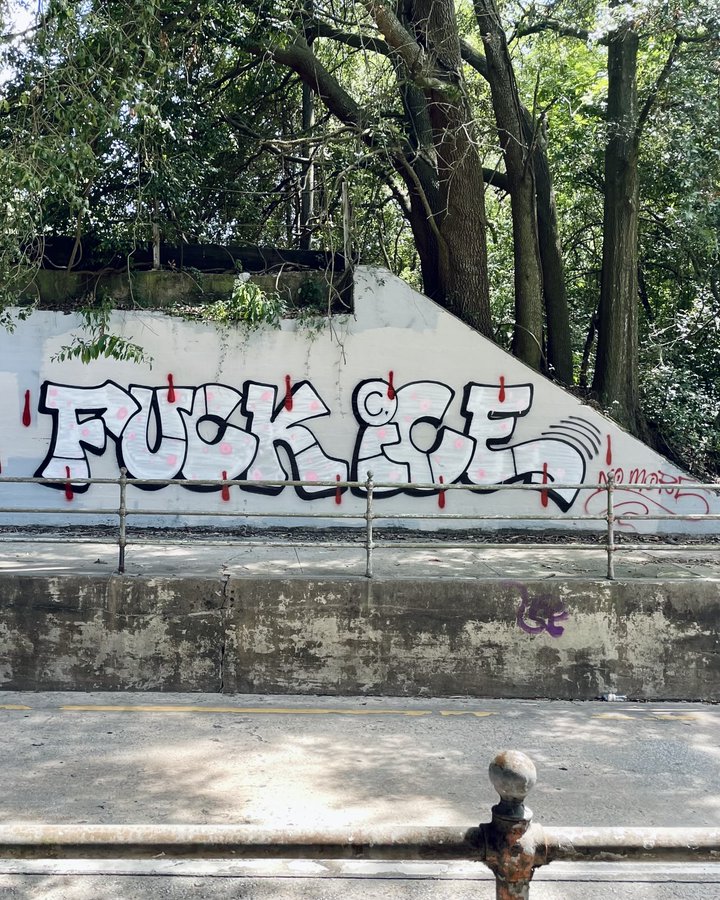 Polacy donoszą na Polaków w USA