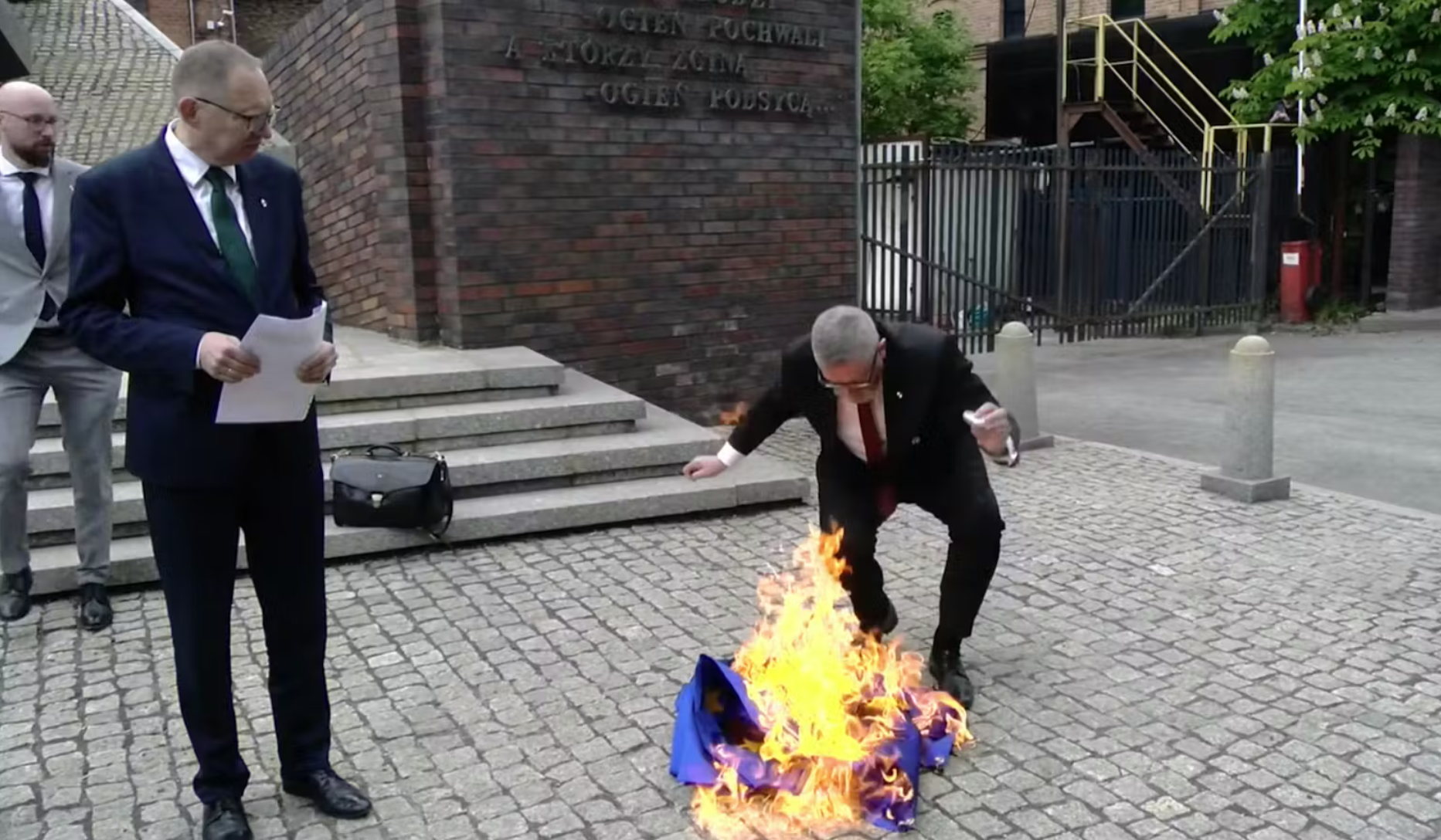 Prawica rośnie przez podział